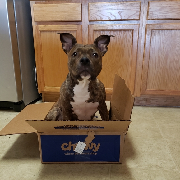 All reasonable offers considered. - Picture 1 of 1